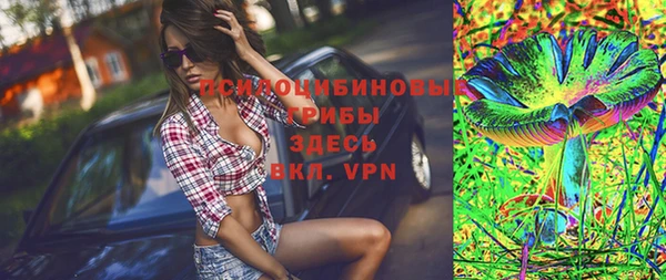 ешки Карпинск