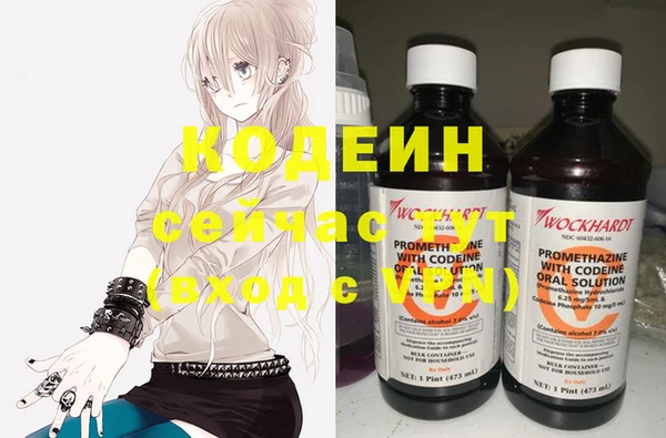 ешки Карпинск