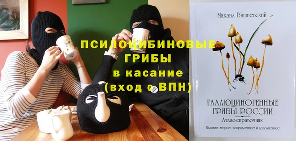 ешки Карпинск