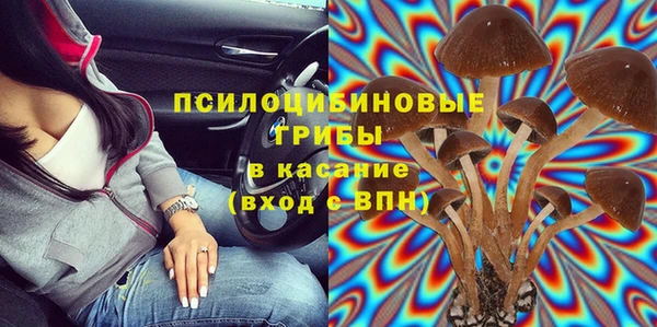 ешки Карпинск